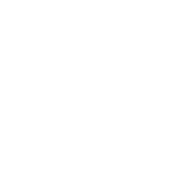 Icona Videocitofonia