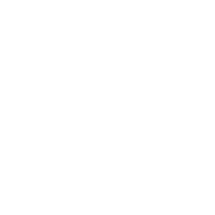 Icona videosorveglianza